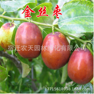 �������������� �޽ӗ����z�������������Ϸ������Nֲ����Y��