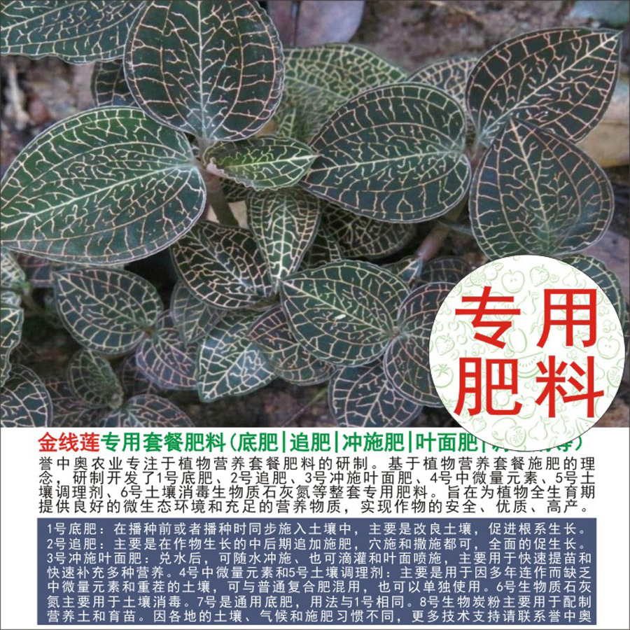 1-50斤誉中奥金线莲专用有机肥复合肥底肥追肥叶面肥冲施肥水溶肥