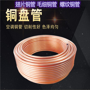 TP2���~�P��2-5/6/8-14/16/19/20/22T2���{�����~��ܛ�Bë���~��