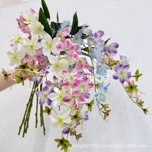 ���z���򻨷��滨���Ļ������ٻ��Ҿ�ܛ�b�쾰�bzӰ����