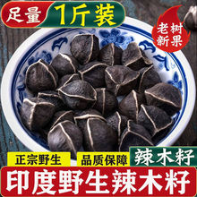 辣木籽印度进口老树食用天然辣木籽茶中大果包邮