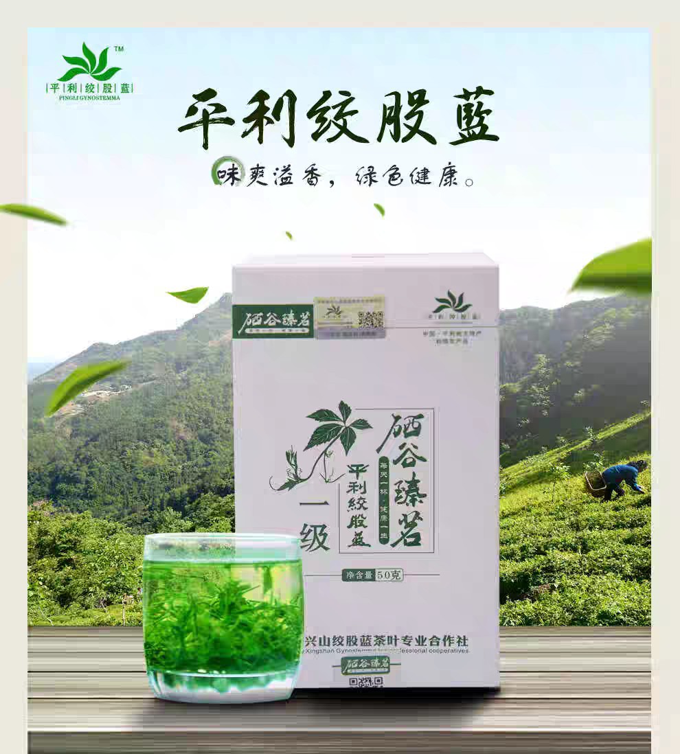 平利绞股蓝 五叶甘味一级龙须绞股蓝50克盒装