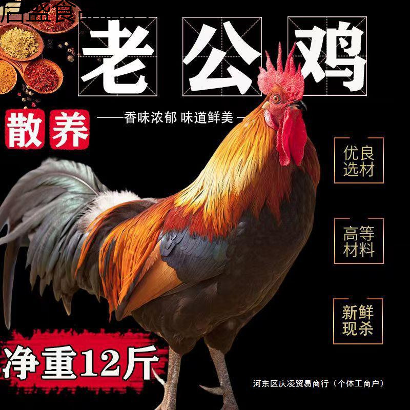 散养两年老公鸡农村老公鸡现杀新鲜鸡肉土鸡柴鸡走地鸡