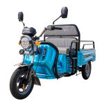 电动三轮车家用小型老年代步三轮车小型1.1米接送孩子拉货车