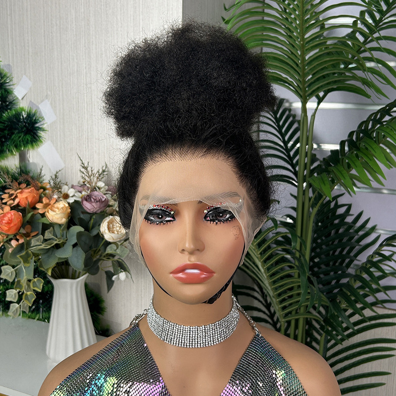 360 Bun Wig Full Lace Frontal Wig Straight Human Hair Wigs