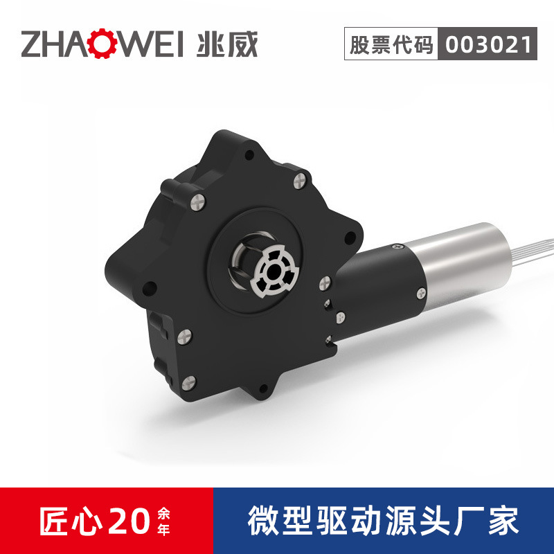 兆威直流无刷电机 健身器材跑步机微型精密大力矩齿轮箱减速电机