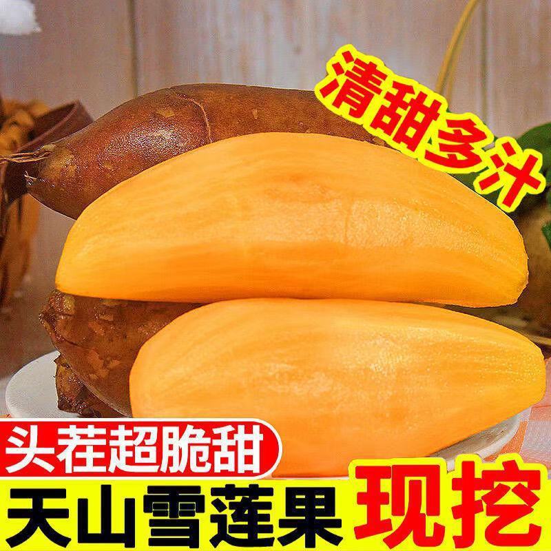 正宗云南天山雪莲果农家雪莲果低糖当季新鲜水果一件代发