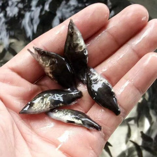 ���Z���~������N������·����ʳ��ˮ�Bֳ�r��|�����a�~���]