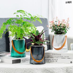 Simple Plastic Table, Meixuan Flower Arrangement, Lazy Ornaments, Starry Satchel Desktop Decoration, Water-Cultured Self-Absorbing Soil-Cultured Green Plants