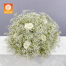 �¿�����c��ˇ��ƺ��Y������̨����t̨·���������Q�b���