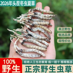 2026�^��Ұ�����x�Ĳ���Ʒ�������x���x�����aƷ��؛�a��ֱ�l��̖