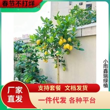 һ�����l��ˮ���ʘ�������ˮ��������ϱ����҃�ͥԺ���F�ļ��Nֲ