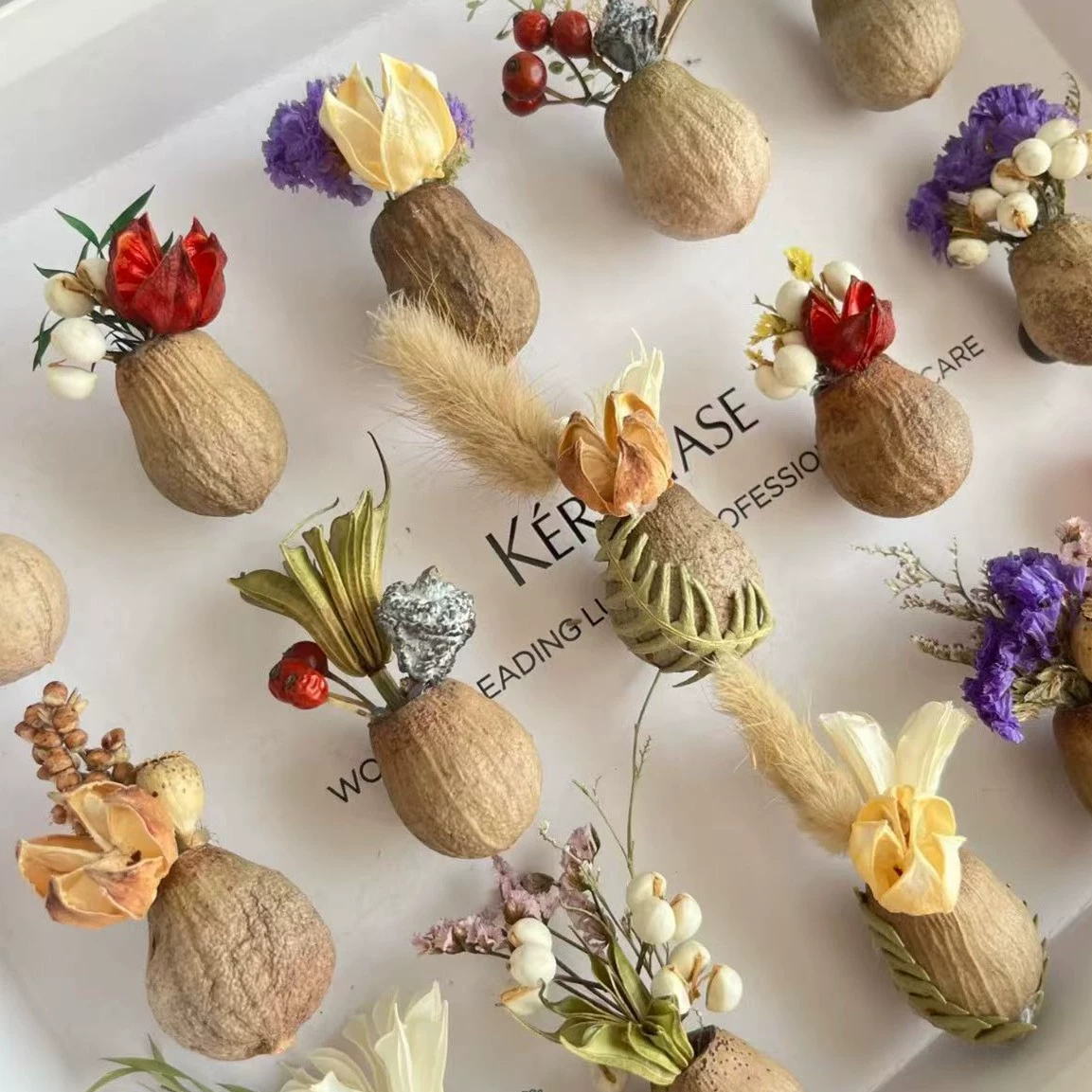 Высококлассные фрукты настоящие растения