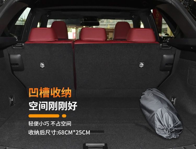 Lexus Nx Mattress 200 Special Car Air Bed 260 Trunk Sleeping Pad 300 Inflatable Sleeping Artifact