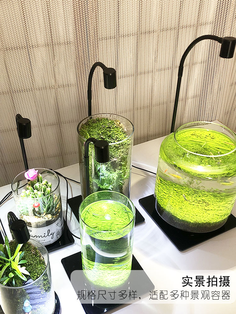 ?微景观灯苔藓灯生态瓶灯鱼缸灯多肉灯植物生长灯补光灯生命之树