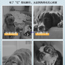 �������������ҧĥ��߅�����Ӗ�����������˽␞��Ʒ