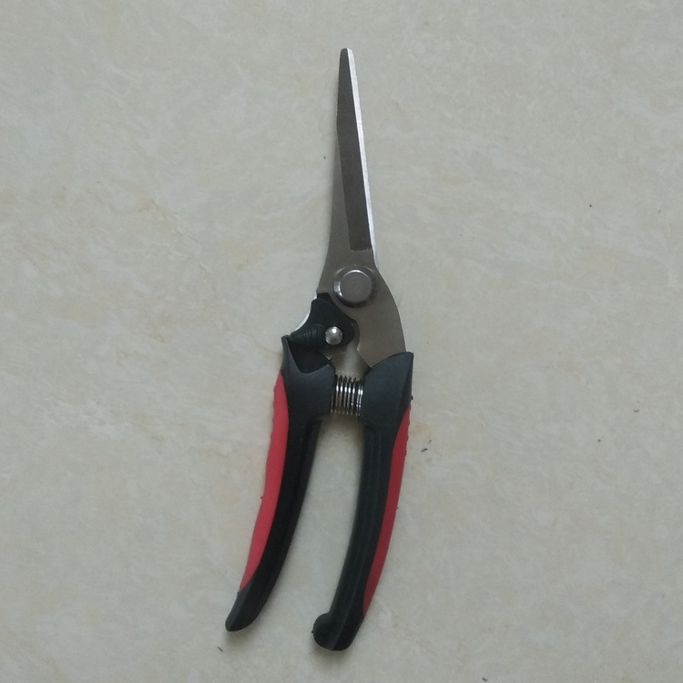 修枝剪，园林剪，树枝剪，花园剪HD-S085