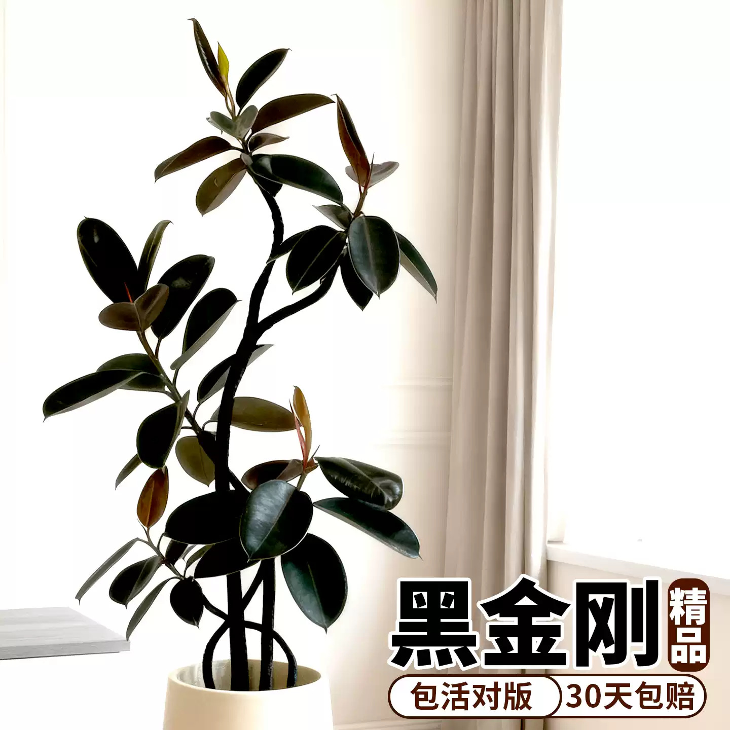 商品图