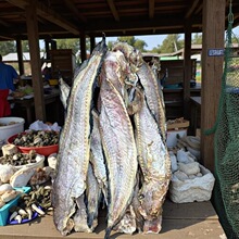 �����~�ɺ������~���޺��T�~����{���~�O����8-9�ɸɺ��r��؛