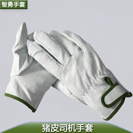 通用手套;焊工手套;高尔夫配件