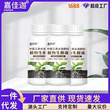 扦插生根液通用型月季长寿花家庭园艺植物花卉果树枝条快速生根剂