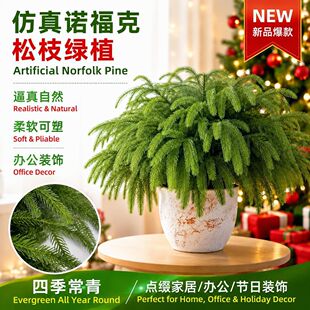 �羳��ʽ�Z�������־�ܛ�z��֦��֦�}�Q���Ɍ��Ӽ��b���Gֲ