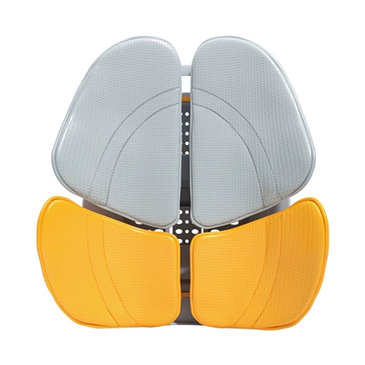 Waist support: car, office lumbar support