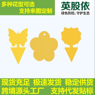 �羳���Q������x�����x��������Π������С�B�λ���ճ�x��