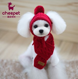 New Puppy Hat Scarf Wool Knitted Two-Piece Set Cute Plus Scarf Fashionable Casual Hat Pet Accessories