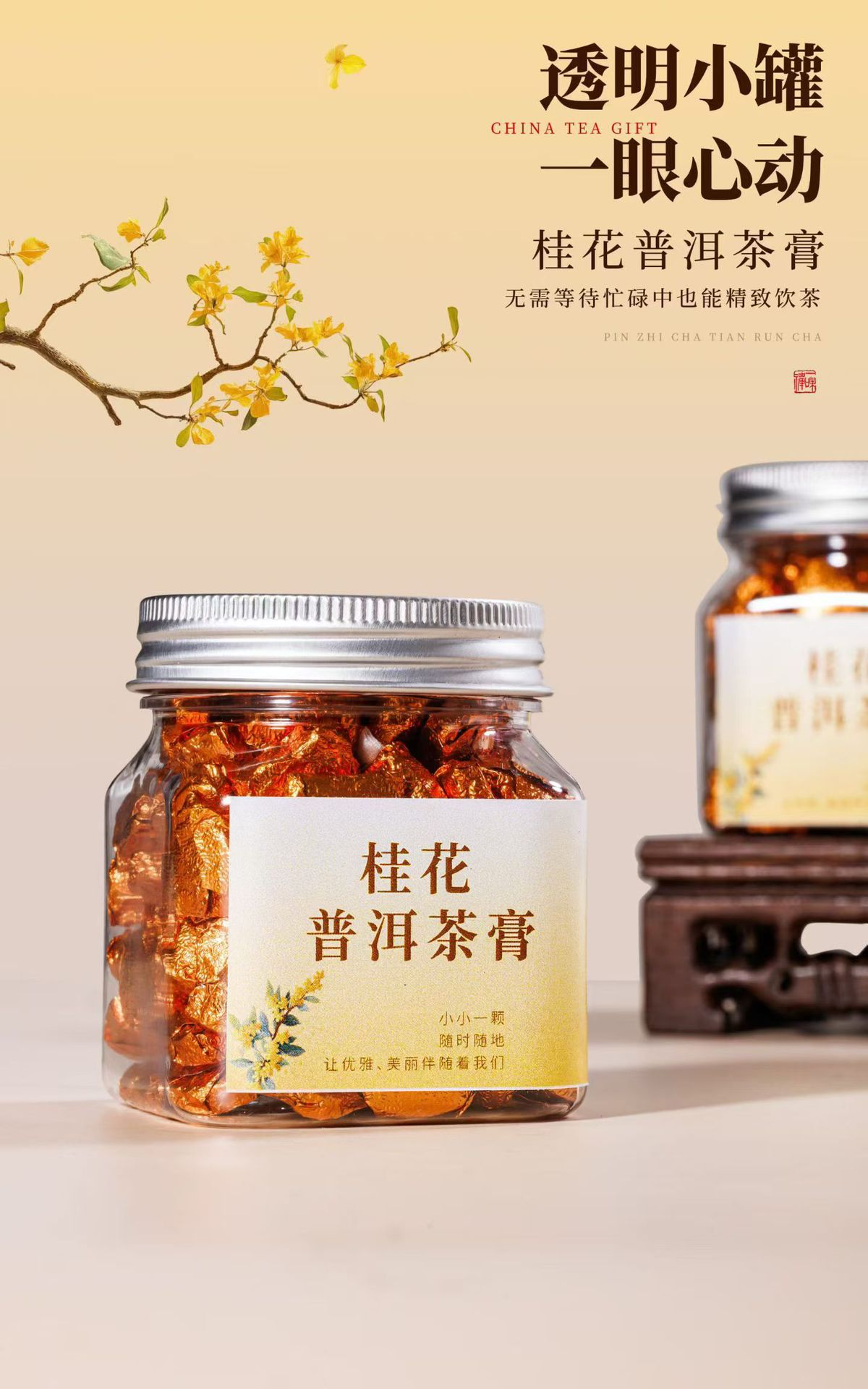 계화차고체 100g캔