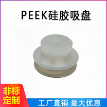 ���zPEEK ���P/���� PGJ-25-PEEK-A5/A6
