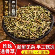 珍珠透骨草 中药材透骨草500克包邮 正品泡脚中草 另有伸筋草皂角