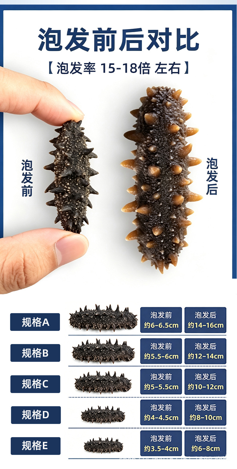 Dalian Premium Lightly Dried Sea Cucumber Gift Box 50g Custom Grade 6-7 Year specifications