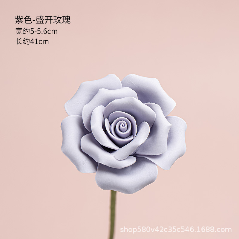 피는 장미-보라색