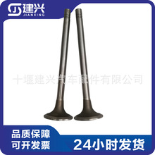 ���쿵��˹NT855���ͷ��������166554/130519/3019370��������