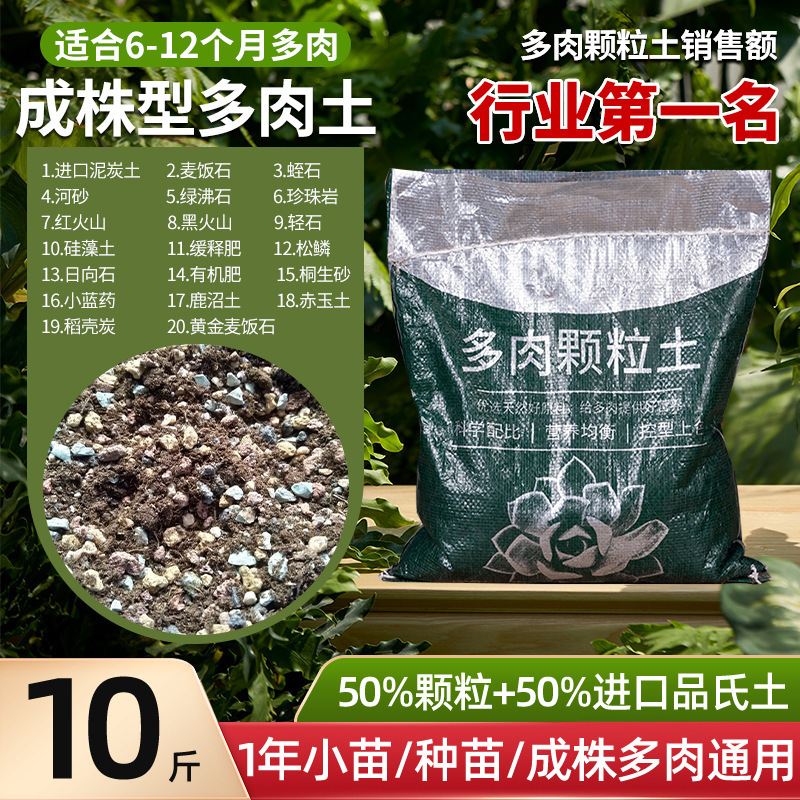 多肉植物粒土、特殊栄養土、医療石、一般花植物多肉植物土、カラフルな小石舗装|undefined