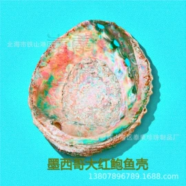 工艺原料;海螺/贝壳;其他药食同源