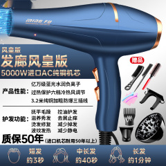 ドライヤーハイパワー9000w理髪店専用5000家庭用3000wマイナスイオンヘアサロン工業用