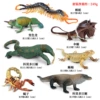 Cold -blooded reptile (7 sets)