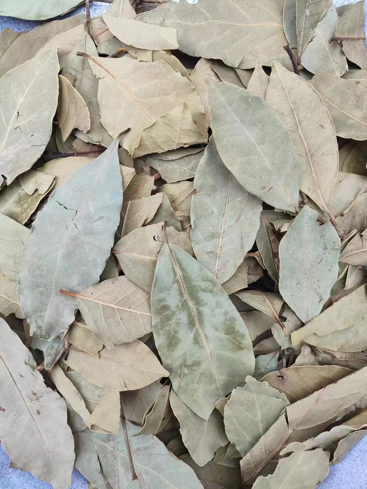 Xiang Ye (Laurus nobilis) — Dried Bay Leaf Spice & Herbal Powder, 500g specifications