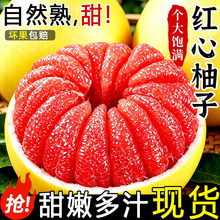 梅州红心柚子三红柚子正宗红肉蜜柚新鲜当季水果多规格