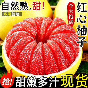 �t���������t�������ڼt���������r����ˮ�����_������Ҏ��
