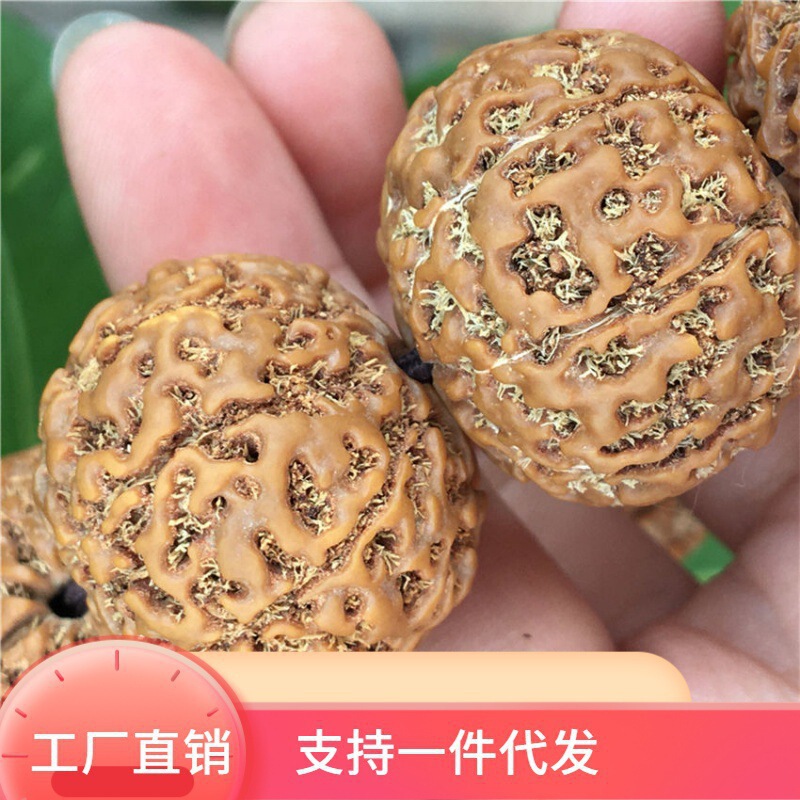 Wholesale Rudraksha Original Seeds Large Rudraksha Beads for Handheld Buddhist Prayer Beads for Men and Women