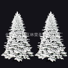 �����}�Q����ɫֲ�q�}�Q��2.1��3m�����b�ѩ�ɘ䶨���ɼ