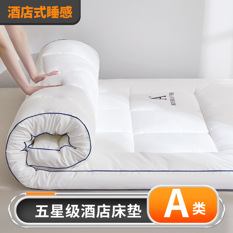 화이트