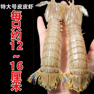 ƤƤ�r�r��һ���r���ӳ������l���r���r���r����ȫĸ����ƤƤ�r