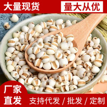 厂家直发包邮新鲜大量现货包装薏米仁新货支持代发批发定制生薏米