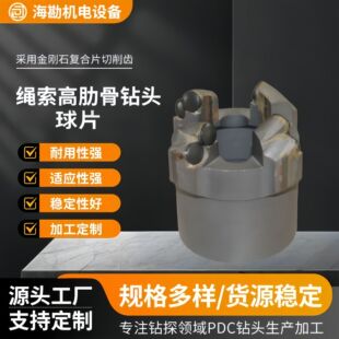 ��ͬ�Ķ��K�����߹���Ƭ��^ �������M��ƫ����ĥ�V�� ��˦�u