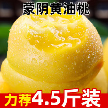 ɽ�|����S����ԭ�a�ؑ��������r�r��ˮ����֭��ζ�@�جFժ����l