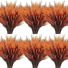 ɫ5޹²ݷ@bGֲ滨ֲԻl